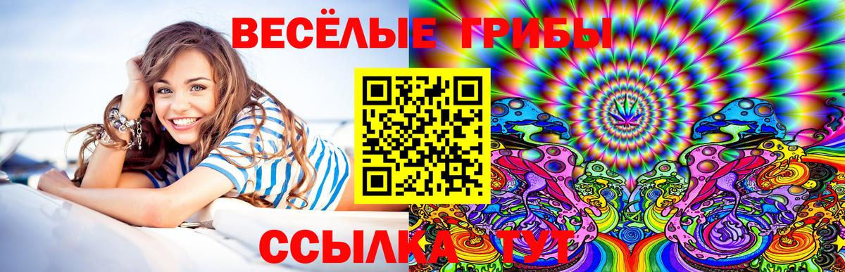 Псилоцибиновые грибы Magic Shrooms  Вход с VPN  Костомукша 